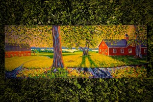 Heart Of High Acres 2025 Jonathan Jennings Harris Cover Small